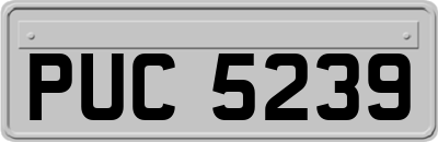 PUC5239