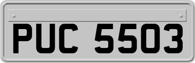 PUC5503