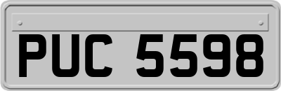 PUC5598