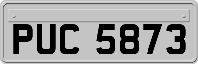 PUC5873