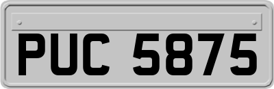 PUC5875