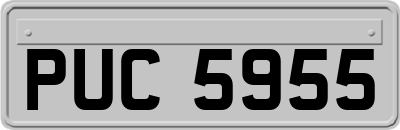 PUC5955