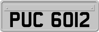PUC6012