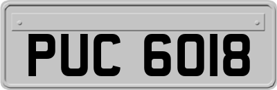 PUC6018