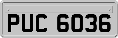 PUC6036