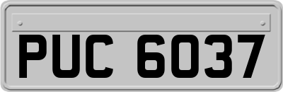 PUC6037
