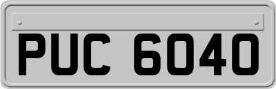 PUC6040