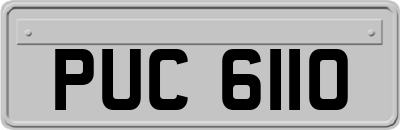 PUC6110