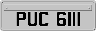 PUC6111