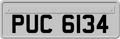 PUC6134