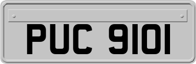 PUC9101