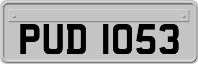 PUD1053