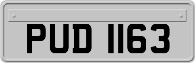 PUD1163