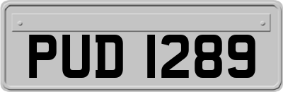 PUD1289