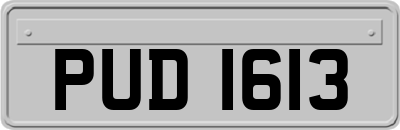 PUD1613