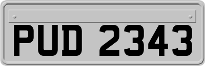 PUD2343