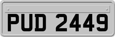 PUD2449