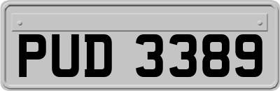 PUD3389