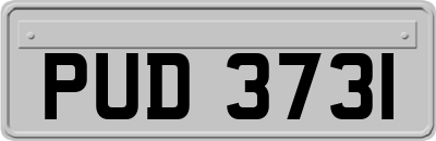 PUD3731