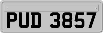 PUD3857