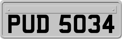 PUD5034
