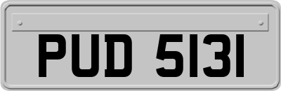 PUD5131
