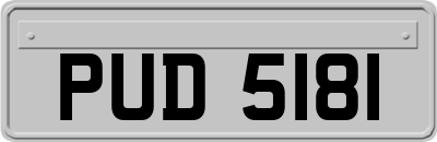 PUD5181