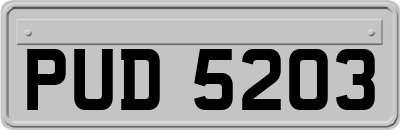 PUD5203