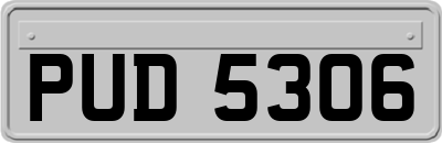 PUD5306