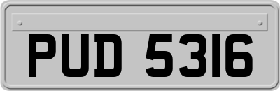 PUD5316