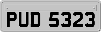 PUD5323