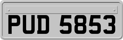 PUD5853