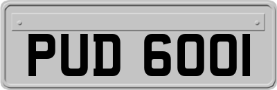 PUD6001