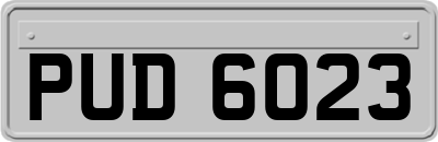 PUD6023