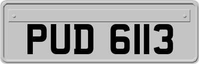 PUD6113