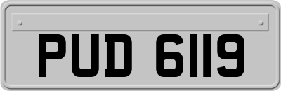 PUD6119