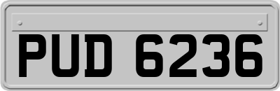 PUD6236