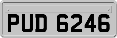 PUD6246