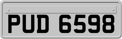 PUD6598