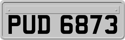 PUD6873