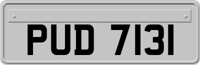PUD7131
