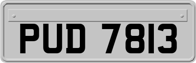 PUD7813