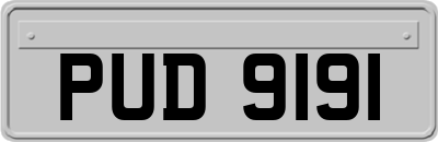 PUD9191