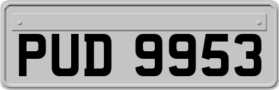 PUD9953