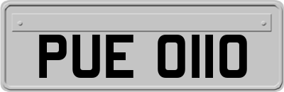 PUE0110
