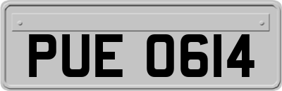 PUE0614