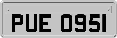 PUE0951