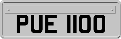 PUE1100