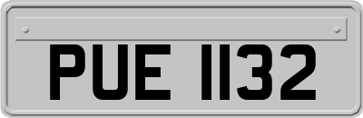 PUE1132