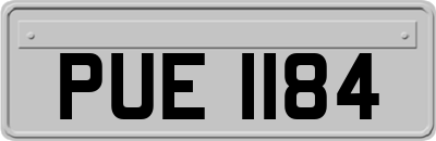 PUE1184